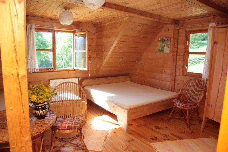 Apartament U Prezesa Lutowiska Zewnętrze zdjęcie